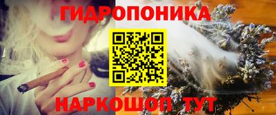 СК Уссурийск