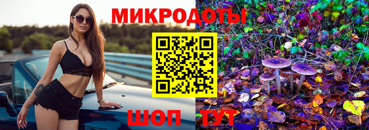 Галлюциногенные грибы прущие грибы Москва