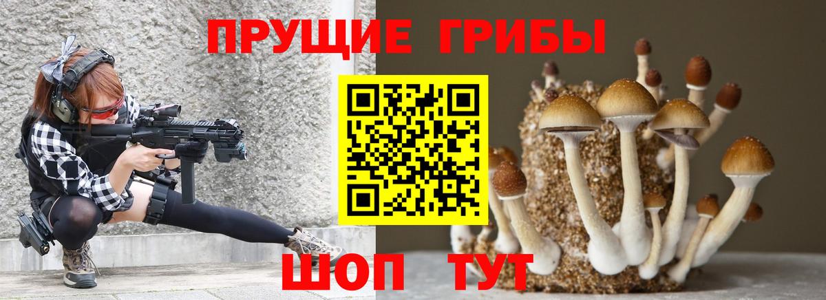 Москва  Псилоцибиновые грибы MAGIC MUSHROOMS  Вход с VPN 